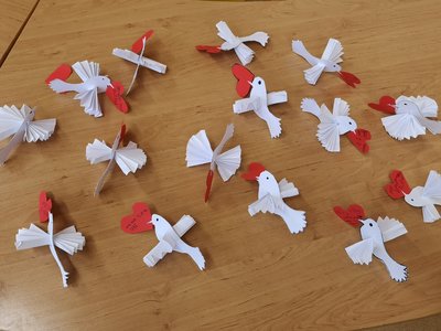 Poštovní holubi ...