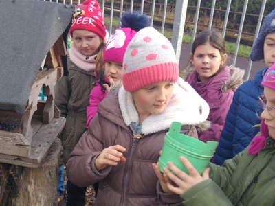 Krmíme ptáčky ...