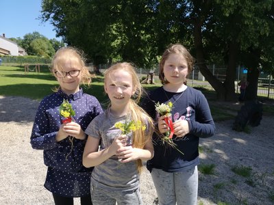 Vázání květin...