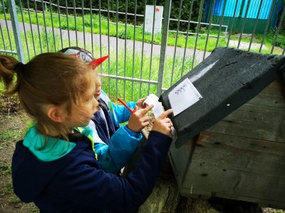 Testíky na zahrádce...