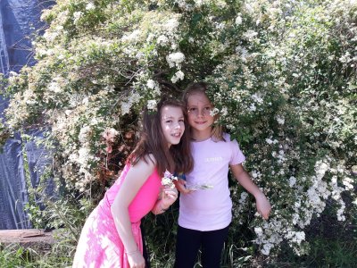 Procházka po okolí ...