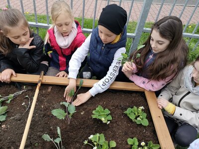 Pěstujeme zeleninu...