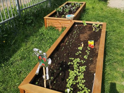 Pěstování nás baví...