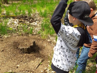 PRV -vycházka do lesa