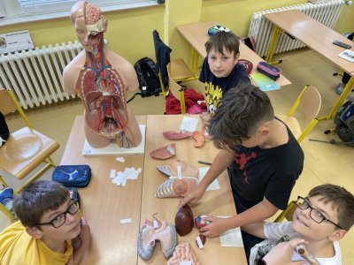 Praktická cvičení