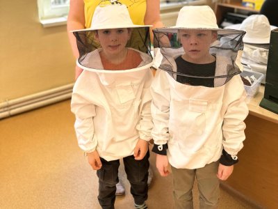 “Co všechno jsme se dozvěděli o včelách “