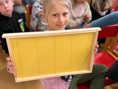 Povídání o včelkách