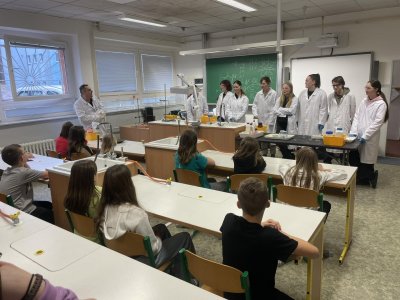 Ukázka hodiny chemie