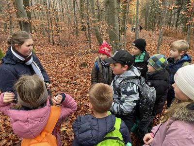 Přírodovědná vycházka