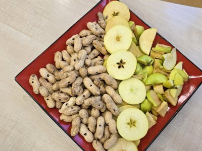 Kroužek - Malý zahradník