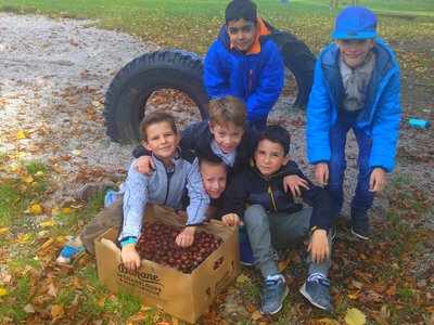 SBÍRKA KAŠTANŮ PRO FARMIČKU...