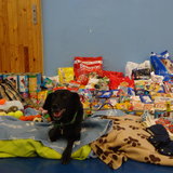 Ťapka děkuje jménem všech pejsků v útulku žákům školy