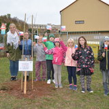 Sázení lípy, akce ŠD