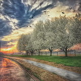 Učíme v přírodě