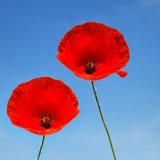 Pozvánka na kavárničku se zákonnými zástupci