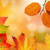 Podzimní prázdniny,  státní svátek + ŘV